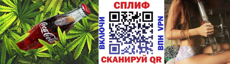 Canna-Cookies конопля Фрязино