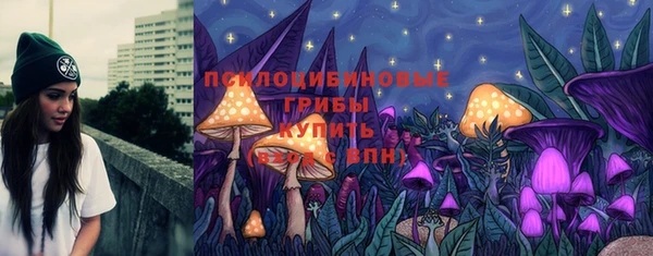 ешки Алзамай
