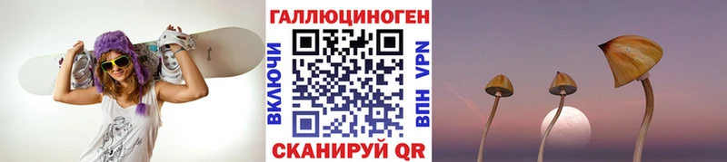 Псилоцибиновые грибы Psilocybine cubensis  купить закладку  Фрязино 