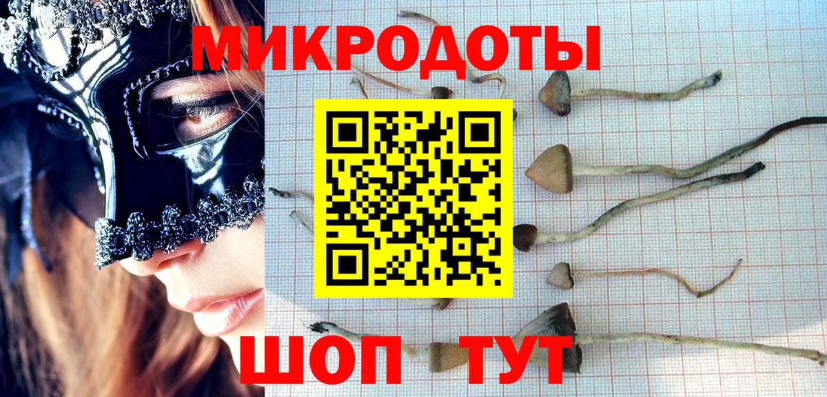 Псилоцибиновые грибы мицелий Фрязино