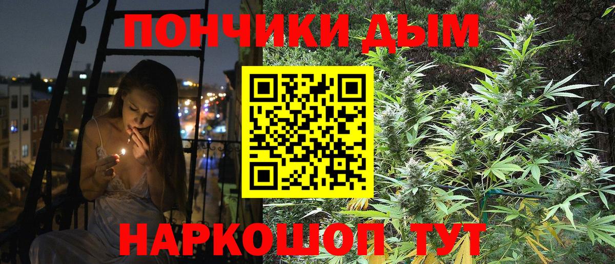Конопля гибрид Фрязино